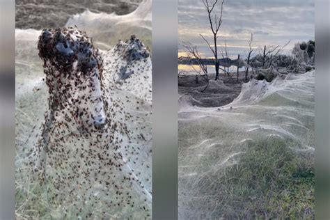 All tangled up: Flooding in Australian state of Victoria leaves entire ...