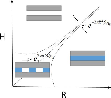 Color Online Schematic Phase Diagram For Bridging Transitions And