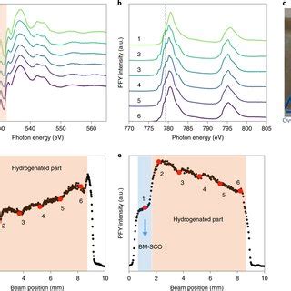 X Ray Absorption Spectra Collected Using The Partial Fluorescence Yield