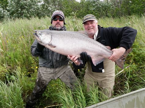 Blog By Alaska Fishing Lodge Anglers Alibi