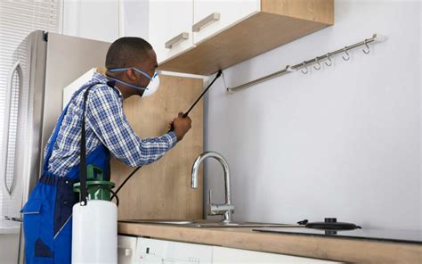 Indoor Pesticides: How to Use Them Safely - Cryonite.com