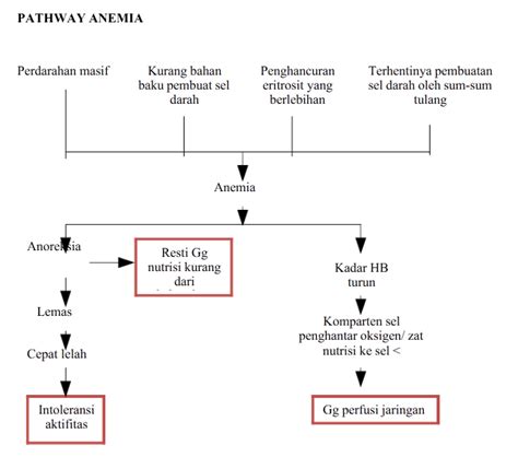 Asuhan Keperawatan Askep Anak Dengan Gangguan Anemia Defisiensi Zat Besi