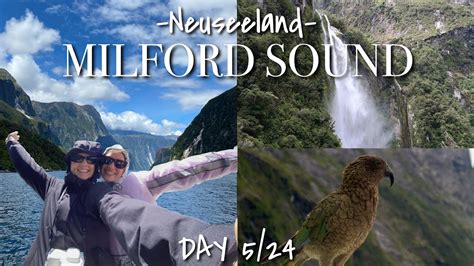 Neuseeland Vlog Milford Sound Wir Machen Eine Bootstour Und