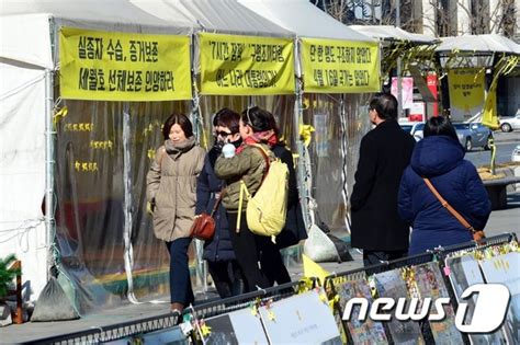 서울시 광화문광장 세월호 천막 단계적으로 축소하겠다 네이트 뉴스