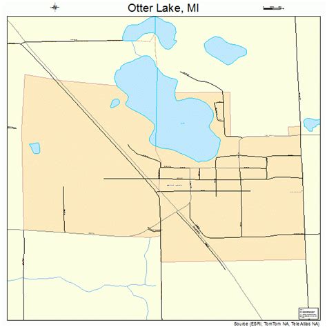 Otter Lake Michigan Street Map 2661760