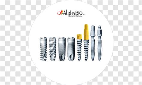 Alpha Bio Dental Implant Dentistry Tooth Transparent PNG