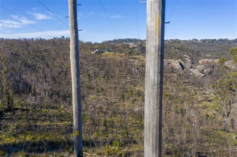 Wooden Telephone Poles In Forest In The Blue Mountains Stock Photo