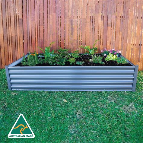 Bunnings Victoria Point garden sales are breaking local records this week 4