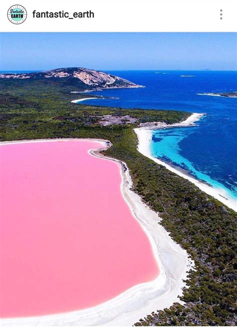 Adelaide Pink Lake South Australia