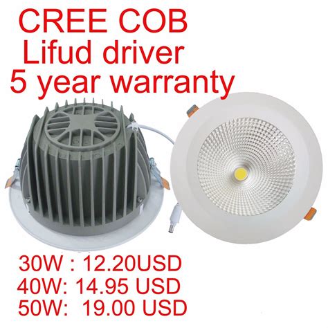 W High Power Cob Citizen Cree Bridgelux Epistar Led Downlight Down