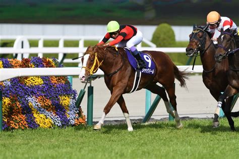 【2024 大阪杯】出走馬＆騎手確定！ソールオリエンス＆タスティエーラ参戦！ 断然関西馬有利のデータを覆せるか！？ 競馬ジャッジ