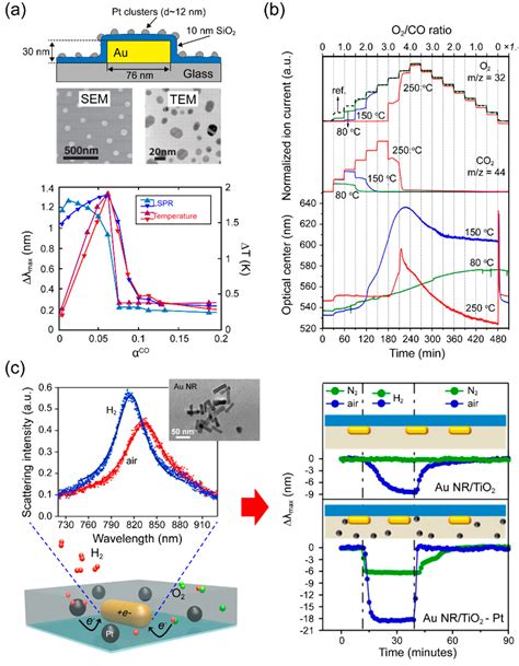 Single Particle Plasmonics For Materials Science And Single Particle