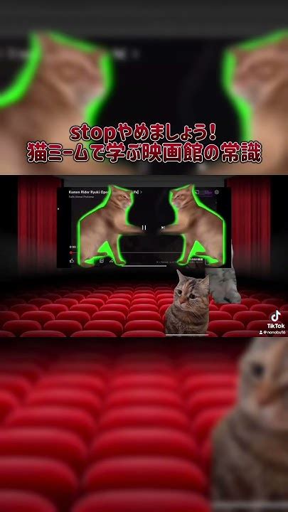 猫ミームで学ぶ映画館の常識 Capcut 映画館 猫ミーム 猫マニ Catmeme 仮面ライダー龍騎 龍騎op みけねこ みけねこミーム Stop Stopやめましょう Youtube