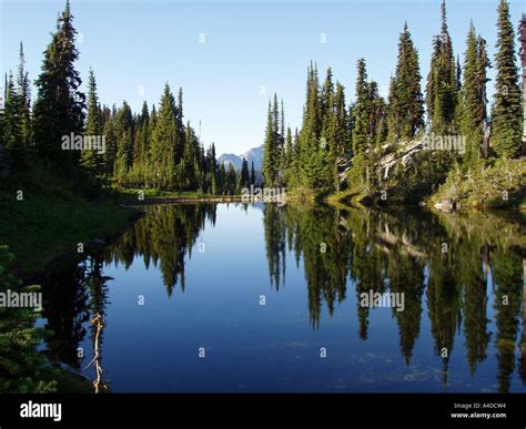 Balsam Lake Mount Revelstoke National Park Canada Stock Photo Alamy