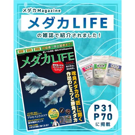 わさび 針子の餌 Premium 20g×2点 メダカ 針子の生存率向上・成長促進 飼育 飼育用品 餌 エサ 餌 パウダー 粉末 稚魚 繁殖