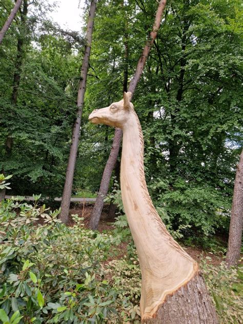 Giraffen R Boom Houtbewerking