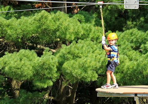 Zipline Ohio | Hocking Hills Canopy Tours