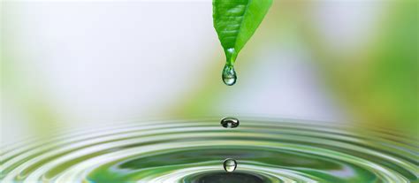 Home – Feel Nature Concept - Feel Nature Concept