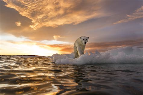 ¿qué Es El Cambio Climático Y Cuáles Son Sus Consecuencias Actuales