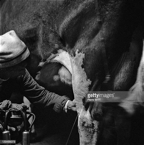 Squirt Milk Photos And Premium High Res Pictures Getty Images