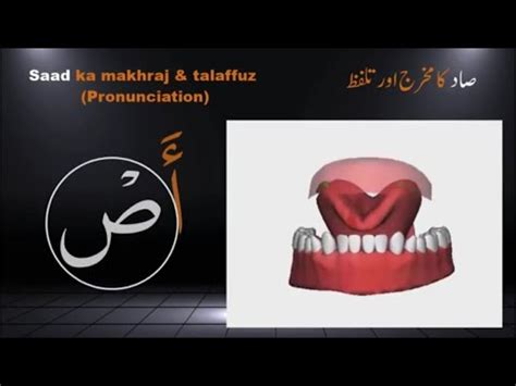 Tajweed Quran | Quran Tajweed | Arabic Alphabet with pronunciation ...