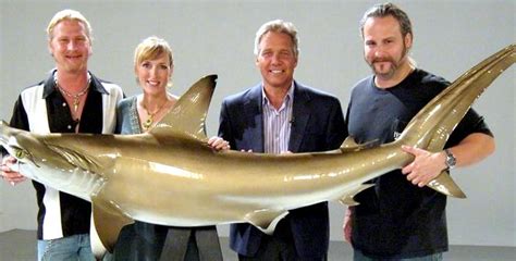 Golden Hammerhead Shark Ocean Treasures Memorial Library