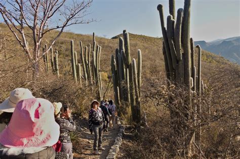 Reserva de la Biósfera Barranca de Metztitlán 3 días Verdi mx