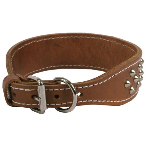 2 Inch Wide SmoothStud Nameplate Leather Dog Collar - $34.95