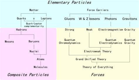 The Ultimate Field Guide To Subatomic Particles Elementary Particle