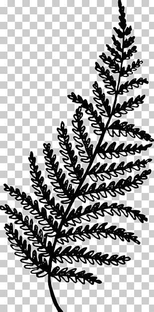 Twig Vegetation Leaf OpenGameArt Org Plant PNG Clipart Base Branch