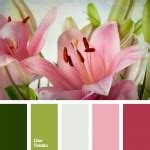 Color Palette Color Palette Ideas