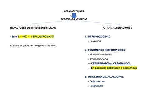 CEFALOSPORINAS OTROS ANTIBIÓTICOS B LACTÁMICOS Mapa conceptual docx