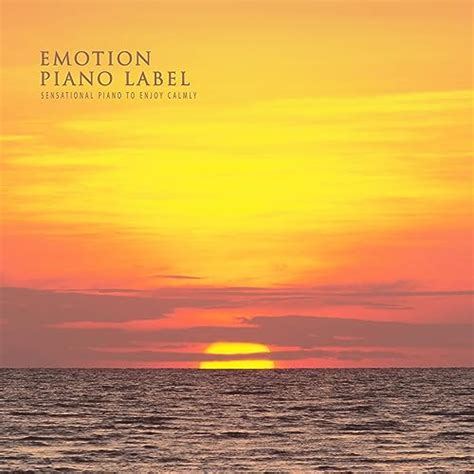 Amazon Sensational Piano To Enjoy Calmly VARIOUS ARTISTS