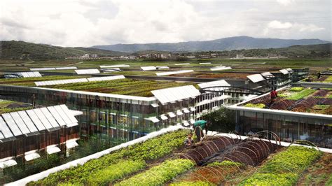 Rooftop-Farming_01 - William McDonough + Partners