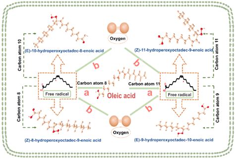 The Chemical Bond Formation Process Of Oleic Acid Hydroperoxide A