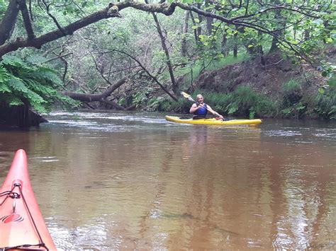 Descente De La Leyre En Kayak Juin Flickr