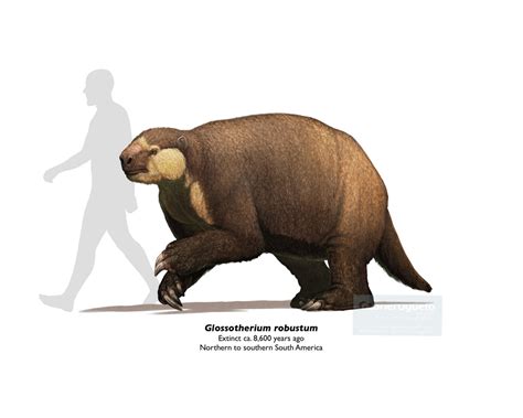 Glossotherium | Prehistoric Wiki | Fandom