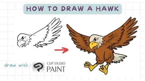 How To Draw A Hawk Using App On A Tablet Phone Youtube