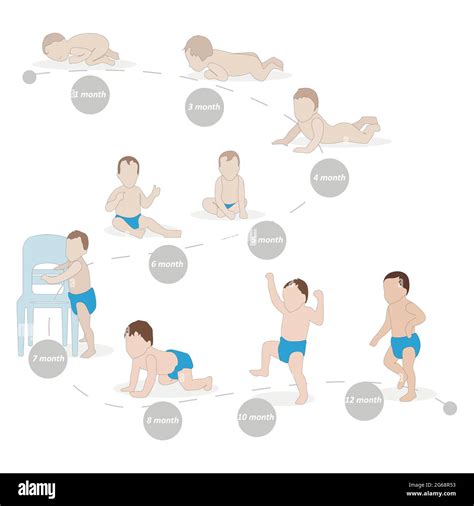 Baby Growth Stages, Development Process From Newborn To Baby Milestones ...