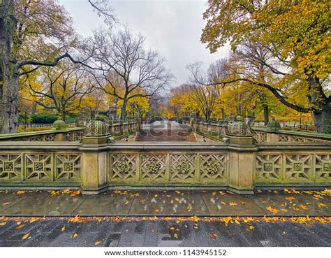 Central Park Mall New York City Stock Photo 1143945152 | Shutterstock