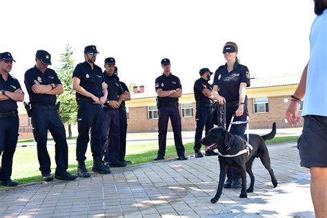 Guías Caninos👮‍♀️🐕👮‍♂️ Nuestros Guías Caninos👮‍♀️🐕👮‍♂️ Han Recibido