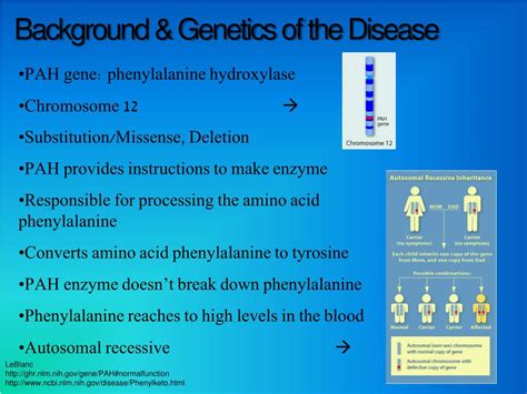 Ppt Phenylketonuria Powerpoint Presentation Free Download Id4643054