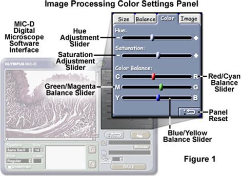 Molecular Expressions Science Optics You Olympus Mic D Color