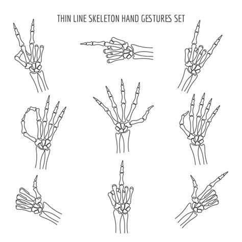 Skeleton Hands Gestures Vector Art Stock Images Depositphotos