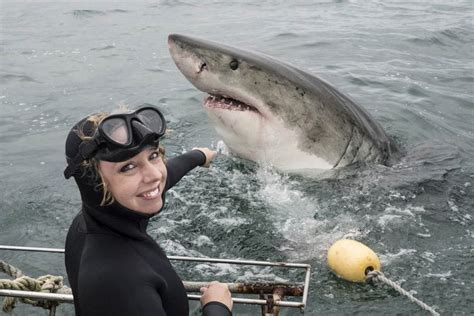 False Bay Shark Cage Diving in Cape Town - Book at Civitatis.com