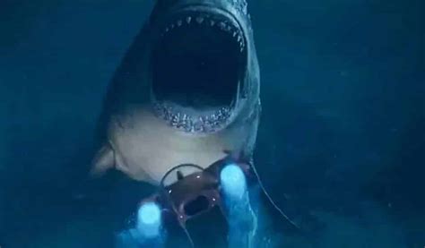 Tons Of New Shark Footage From 'The Meg' Revealed