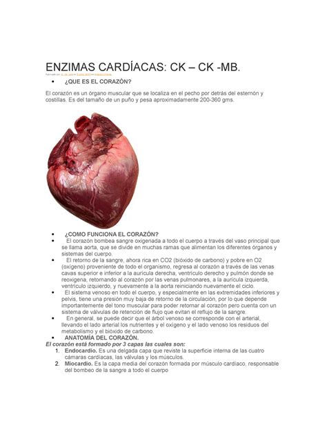 Enzimas Cardíacas Perfiles Clinicos Enzimas CardÍacas Ck Ck Mb