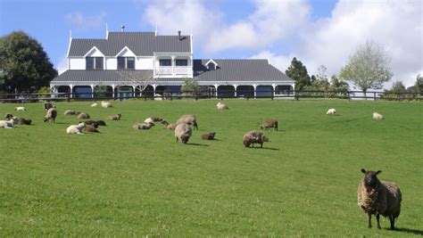 Country Homestead At Black Sheep Farm Accommodation In Northland