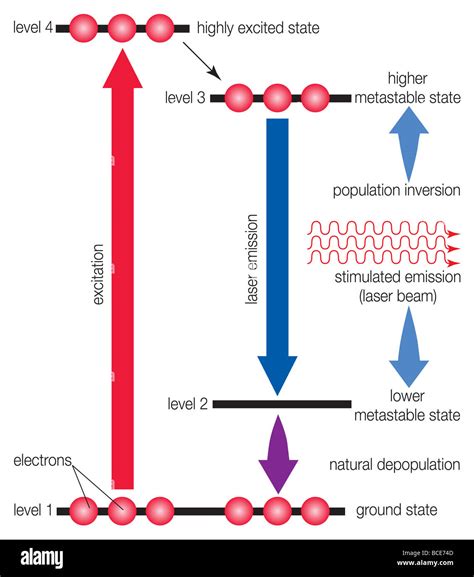 Diagram Illustrating The Process Of A Four Level L Hi Res Stock