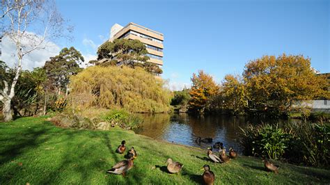 Massey University Full Degree Tean